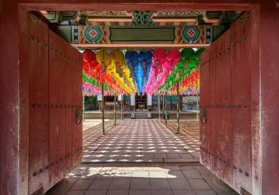 Korea, Süd - Gyeongju-si - 🇰🇷 Korea in Color: An Autumn 🍁 Journey of Palaces ⛩️, Peaks 🏔 & Portraits 📸 - 7