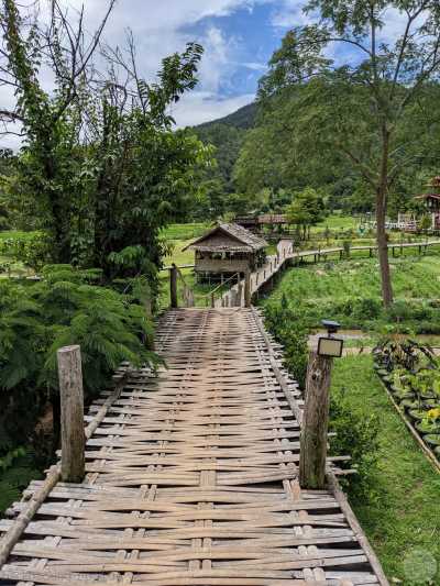 Thailand - Pai Walking Street - 🇹🇭 Nordthailand entdecken - inkl. 3 Tage im Buddhistischen Kloster, Megacity Bangkok & das alte Königreich Sukhothai 🍻🏯🌿🐘 - 2