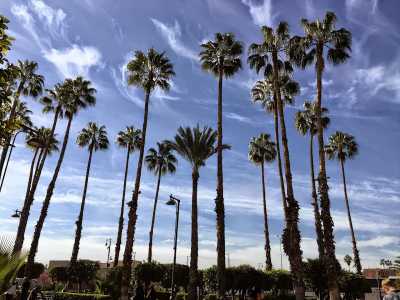 Marokko - Koutoubia - 7 Days in Marrakech: Dive Into Markets, Palaces & Gardens - 3