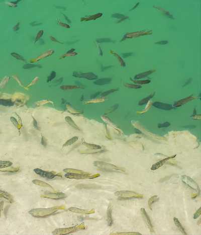  - IMLILI DESERT - Explore Dakhla, the Pearl of Moroccan Sahara, while CoWorking - (private room) - 3