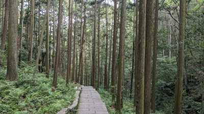 China - Zhangjiajie National Forest Park - 🇨🇳 Entdecke China - 16d Backpacking Reise durch Chinas Zentrum 🏮incl. Privatzimmer 🛌🏻 - 1