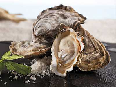  - Dakhla - Visiting Dakhla, Morocco: The Pearl of Moroccan Sahara while Co-Working (private room) - 4