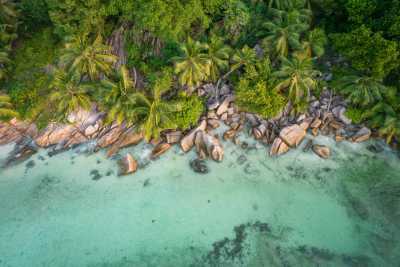 Seychelles - Anse Reunion - Discover the Magical Seychelles Islands - 4