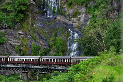 Australien - Kuranda - 🌴🪸 Daintree to Great Barrier Reef: A Co-Working Retreat in Port Douglas, Australia 🐠🇦🇺 - 5