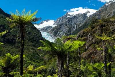 Neuseeland - Franz Josef Glacier - Guided Motorcycle New Zealand Adventure Trip