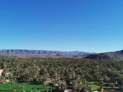 Morocco - Todrha - 4-Day Morocco Desert Adventure | Marrakech, Aït Ben Haddou & Merzouga