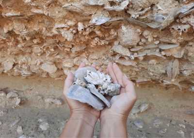 Cyprus - Mitsero - A Cyprus Adventure with Locals: Natural History and Unforgettable Views - 1