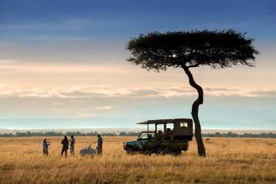 Kenia - 🌍 Wild Wonders of Kenya | All-Inclusive Raw Nature Jeep Safari 🐘🦁🌅 - JoinMyTrip