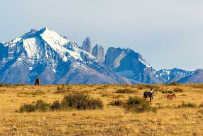 Chile - Chilean Patagonia - 11 Days Chile Ultimate Adventure: Patagonia W Trek & Atacama Desert