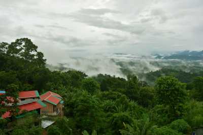 Bangladesch - Sajek Valley - Mission Cox's Bazar and Kaptai Lake - Bangladesh Nature Trip