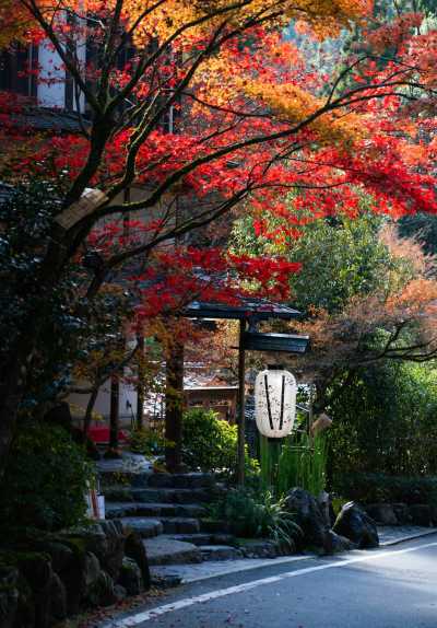 Japan - Mitsui Garden Hotel Kyoto Shinmachi Bettei - 🍜 The Golden Route Reimagined: 14 Nights Through Osaka, Kyoto, Hikone & Tokyo 🎎 (PRIVATE ROOMS) - 1