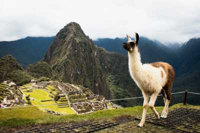 Peru - Cusco - 5 Days Cusco Highlights: Machu Picchu, Maras, Moray & Sacred Valley - 2