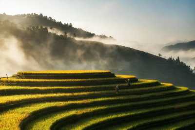 Vietnam - Sa Pa - Vietnam Beyond the Surface: Gastronomic Experiences, Rice Terraces, Egg Coffee, Crafts & Local Connections - 1