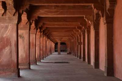 India - Bharatpur - 9-Day India: Holi, Tigers & Beyond the Golden Triangle - 3