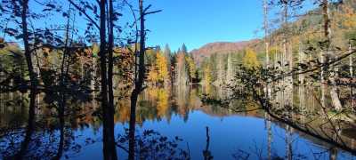 Türkei - Borçka Karagöl Nature Park - Türkiye's Alps: Trabzon, Rize and Artvin - 5