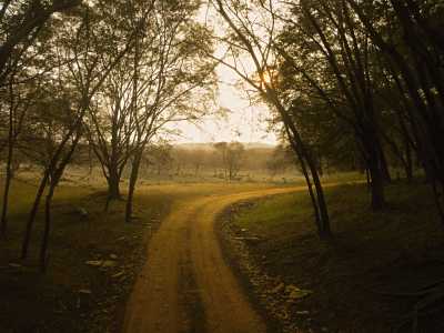India - Ranthambore National Park - 9-Day India: Holi, Tigers & Beyond the Golden Triangle - 1