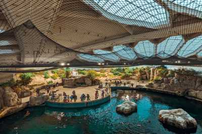 Kanada - Le Vieux Montréal - Ultimate Montreal Summer Experience 🇨🇦 | City, Nature & Local Life – Hosted Downtown + Airport Pickup! - 1