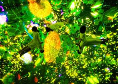Japan - teamLab Planets TOKYO DMM - 🇯🇵Japan Trip To The Future :Food, Culture, Snow & Wildlife - 1
