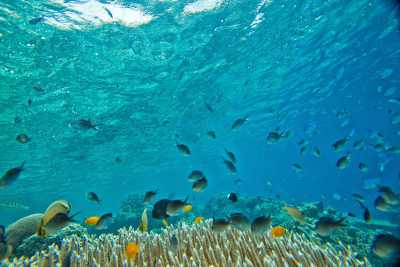 Indonesien - Bunaken - 🇮🇩 Indonesien - Molukken - Backpacking Reise ins abgelegene Paradis am Ende der Welt 🏝️ - 1