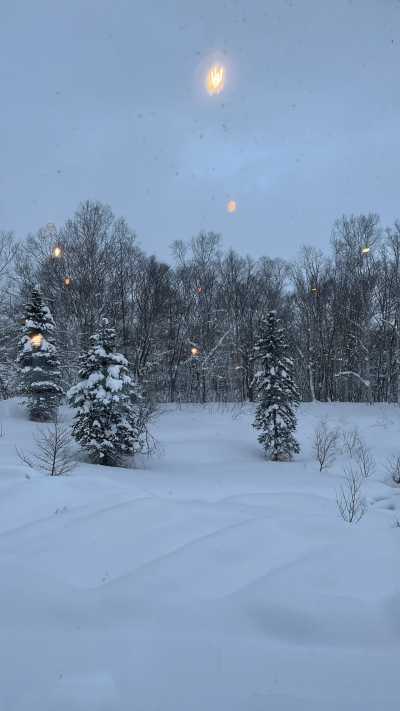 Japan - Niseko - Niseko Powder Ski & Tokyo - 11