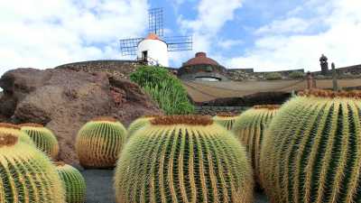 Spain - Las Grietas - LANZAROTE HIDDEN GEMS: One week in between Hiking 🌋, Surfing 🏄‍♂️, Crazy Panoramas, Cultural & Art Heritage and so much more! - 2