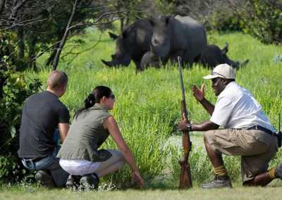 Uganda - Uganda: Self drive 4x4 Land Cruiser 🦍🌿Gorilla & Rhino tracking! Coffee, Waterfalls & Hikes 🇺🇬 - JoinMyTrip