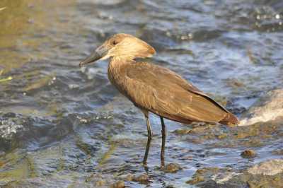South Africa - Blyde River Canyon - Südafrika: das atemberaubende Kap trifft auf das Biospähren-Reservat Blyde - Krüger - 2
