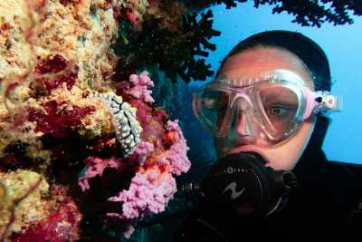 Australien - Great Barrier Reef - 🌴🪸 Daintree to Great Barrier Reef: A Co-Working Retreat in Port Douglas, Australia 🐠🇦🇺 - 11