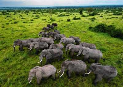 Uganda - Queen Elizabeth National Park - Uganda: Self drive 4x4 Land Cruiser 🦍🌿Gorilla & Rhino tracking! Coffee, Waterfalls & Hikes 🇺🇬 - 2