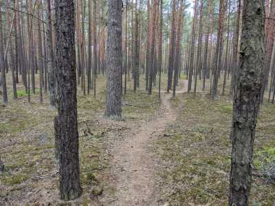 Northern Europe - Nationalpark Ķemeri - Discover the Baltic States - Tallinn, Riga, Vilnius and much more! - 1