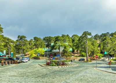 Cyprus - Troodos - A Cyprus Adventure with Locals: Natural History and Unforgettable Views - 3