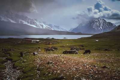 Pakistan - Shandur Pass - Epic 14-Day North Pakistan Expedition: Immerse in Local Culture, Marvel at Nature, and Hike the Karakorum Mountains! - 2