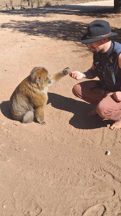 Morocco - Azrou - Moroccan Roadtrip - Into the Desert