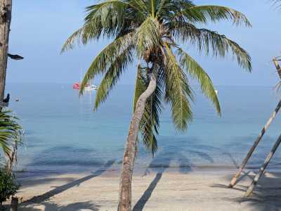 Thailand - Ko Pha Ngan - 🇹🇭 Thailand Wind & Ocean Adventure – Learn Kitesurfing or Diving 🪁🏄‍♂️🤿 🏝️ - 8