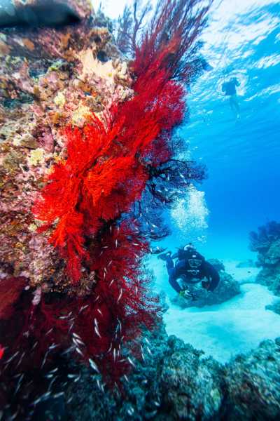 Japan - Ishigaki - Let's Gather in Ishigaki Island Paradise 🌴 | Beaches, Sea Turtles, Yoga & Island Hopping