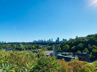 Canada - Toronto - ✨ 🌲Boost Your Adrenaline and Immerse Yourself in Canada's Nature Wonders! 🌲✨ - 2