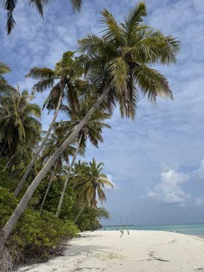 Maldives - Fehendhoo - True Maldives: Local Living • Stunning Beaches • Turquoise Dreams - 6