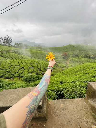 Indien - Munnar - India, Kerala: Enjoy Beaches and Mountain Escapes in One Package - 9