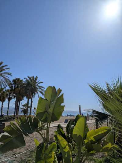 Spain - Playa de Huelin - FUN & RELAX in sunny Málaga: Pádel, Beach and Cooking Paella with local (private rooms)🌄🥘🏸 - 4