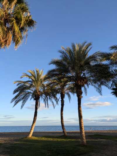 Spain - Centro - 💃🍹LADIES trip in Málaga: Sunny Beaches, Painting, Pádel and Yoga 🎨🏸(Private Rooms) - 5