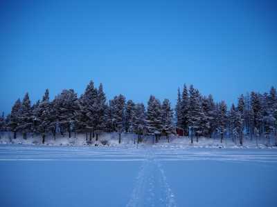Sweden - Kiruna - Wild North Expedition Above The Arctic Circle - Snowmobiling, Northern Lights & Dog Sledding