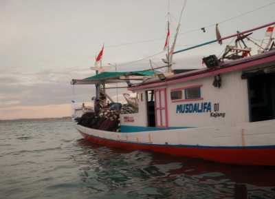 Indonesia - Labuan Kertasari - 🇮🇩 Indo Ocean Tribe-Surf Retreat | Kertasari - 5