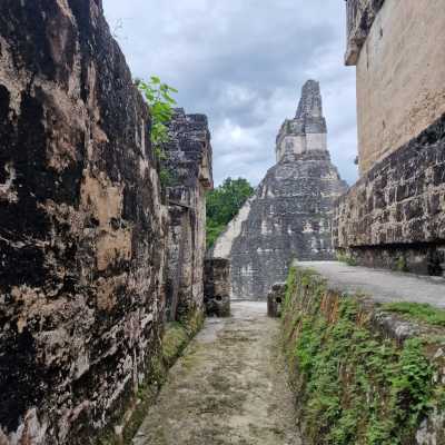 Guatemala - Flores - Into the Jungle: Volcanoes, Atitlán & El Mirador Trek - 3