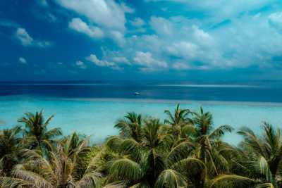Maldives - Thulusdhoo - Maldives Off the Beaten Path – Dive into this destination like never before. Local concert, food experiences, unforgettable beaches, snorkeling with sharks, stingrays, dolphins and turtle - 2