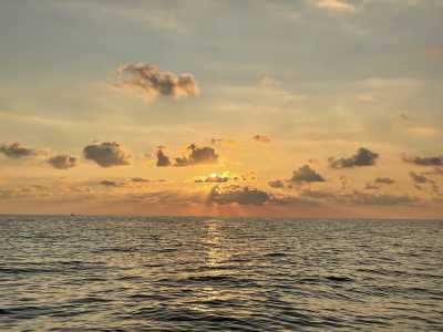 Montenegro - Budva - Explore Montenegro - Freediving, Boat trip, BBQ, Hidden Gems (Guided trip) - 4