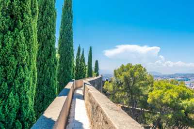 Spanien - Gibralfaro - Dynamic vacation in sunny Málaga: Cooking Paella Workshop, Hiking and Pickleball (private room)🌄🥘🏓 - 3