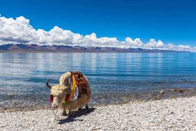 Asien - Saga County - Tibet Expedition to Kailash & Guge 2027