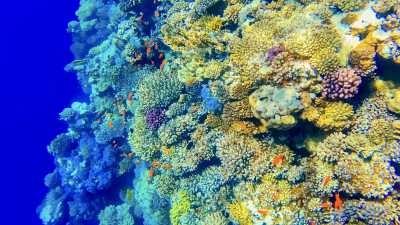 Ägypten - Blue Hole of Dahab - Coastal Charms: A Weeklong Adventure in Dahab's Paradise - 7