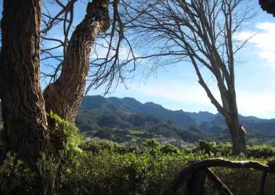 Portugal - Santana - 🌅 The Hawaii of Europe: MADEIRA! 🌤️ Private Authentic Thatched Farm Villa, Hiking, Wine Tasting, Beaching and Vibes!! - 5