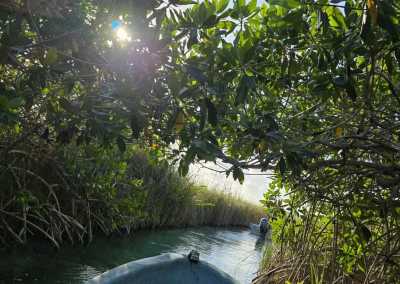 Mexico - Tulum - Indiana Jones Snake cave in Yucatan, Mexico & Many More - 10